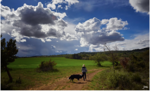 6a2801692628b_Capturedecran20260609a14.00.03.png